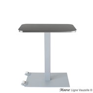 Piétement MOOVE Socle 60x42 Sur Roulettes Ht 73cm - Intérieur