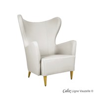 Fauteuil CALIX Dossier Standard